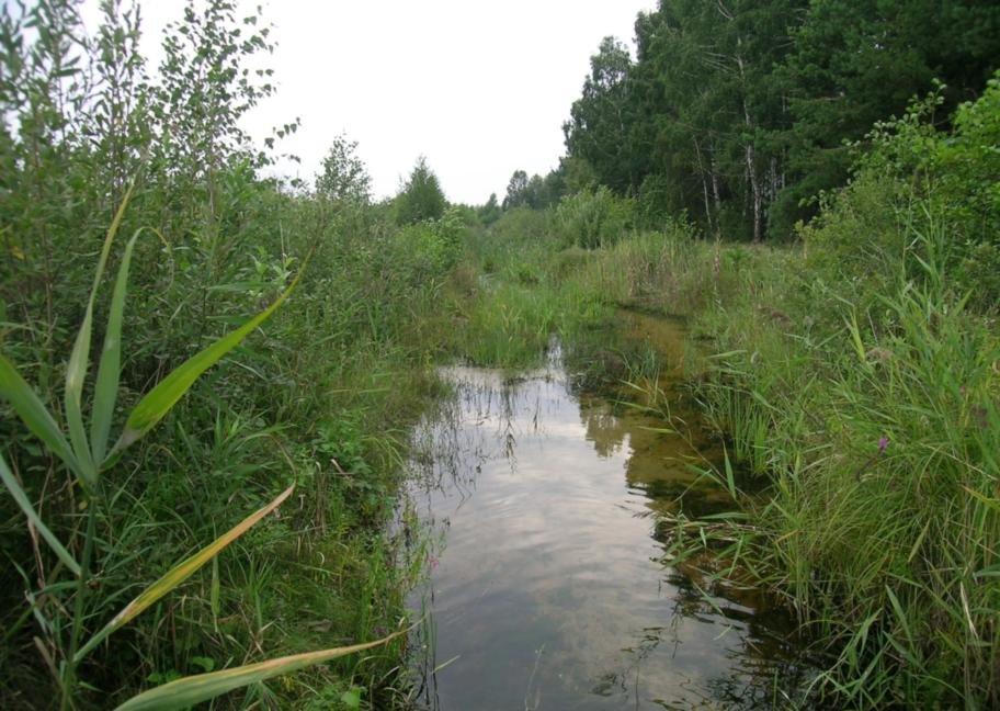 Світязь з panoramio.com - Свитязь