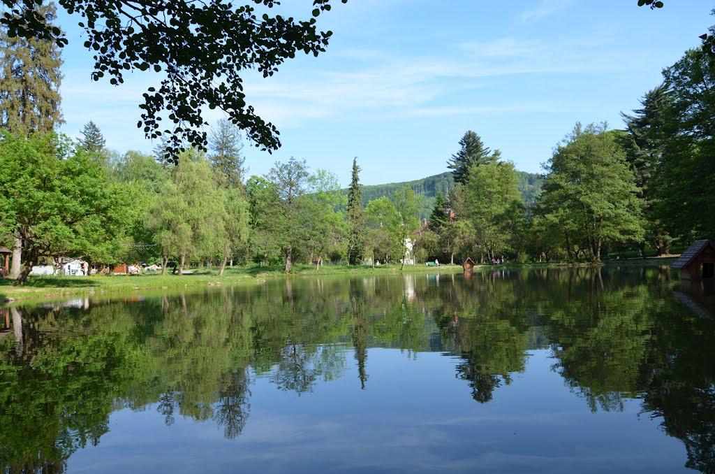 Карпати з panoramio.com - Карпаты
