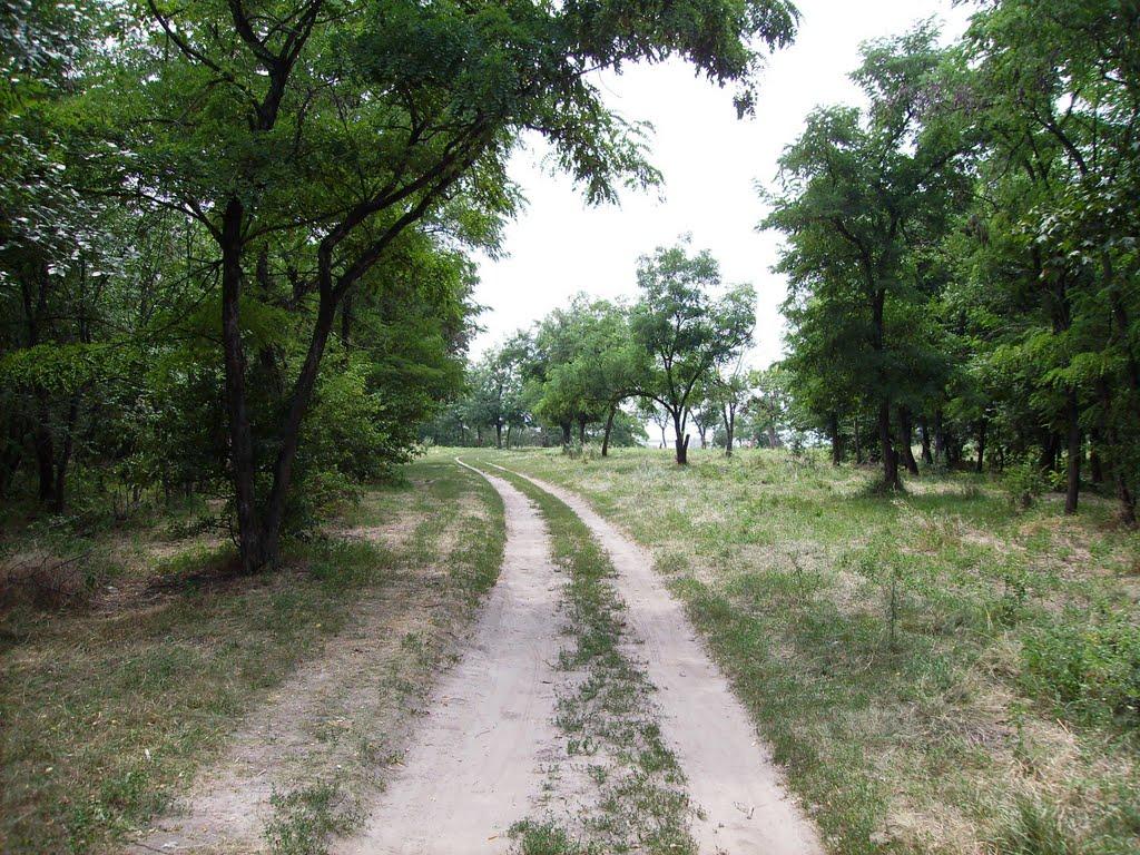 Світлогірське з panoramio.com - Світлогірське