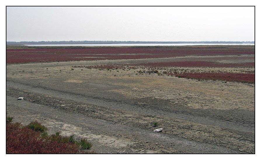 Передмістне з panoramio.com - Предмостное