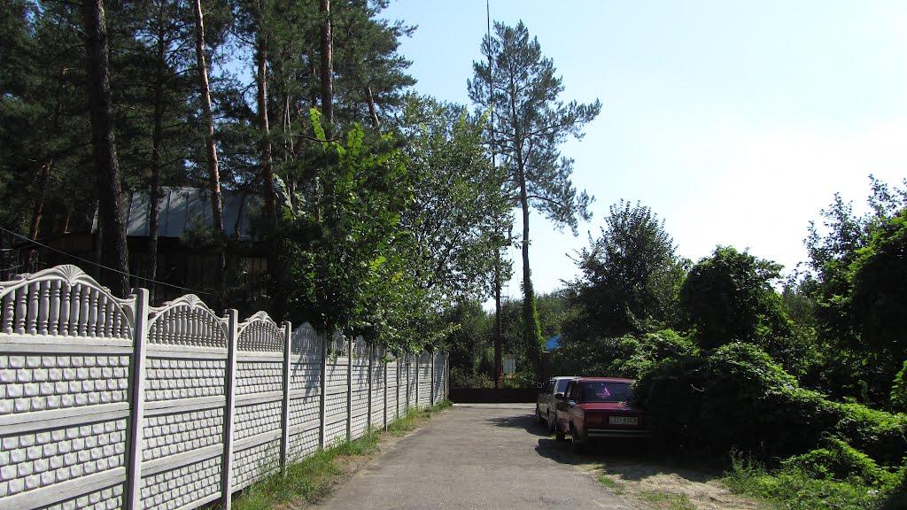 Щурове з panoramio.com - Schurove