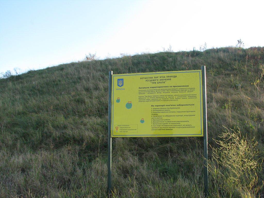 Дівички з panoramio.com - Дівички