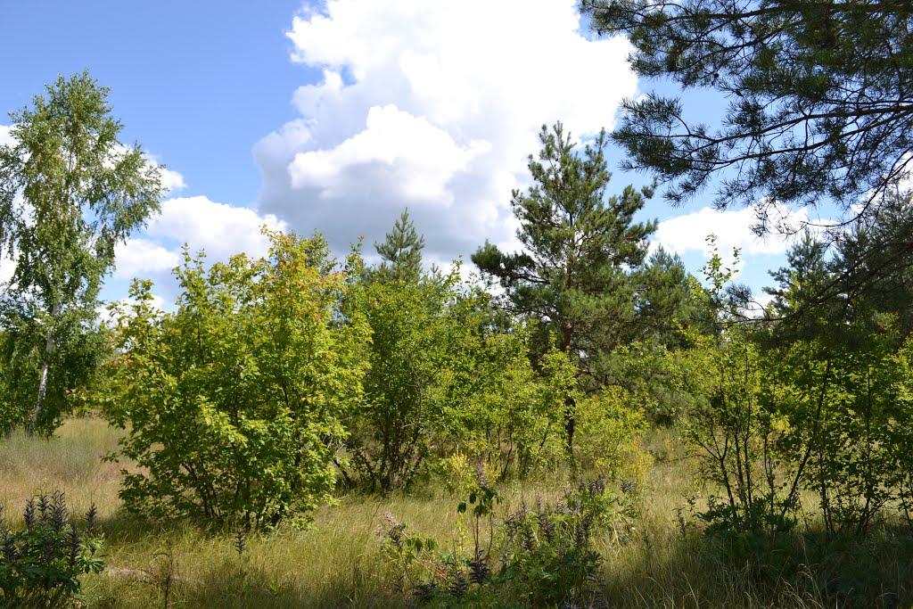 В'ятка з panoramio.com - Вятка