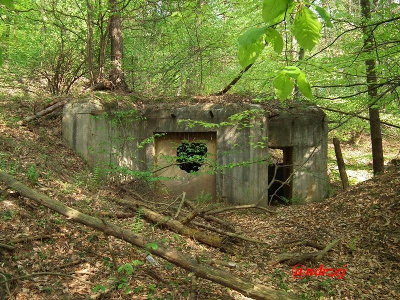 Великі Макари з panoramio.com - Великі Макари
