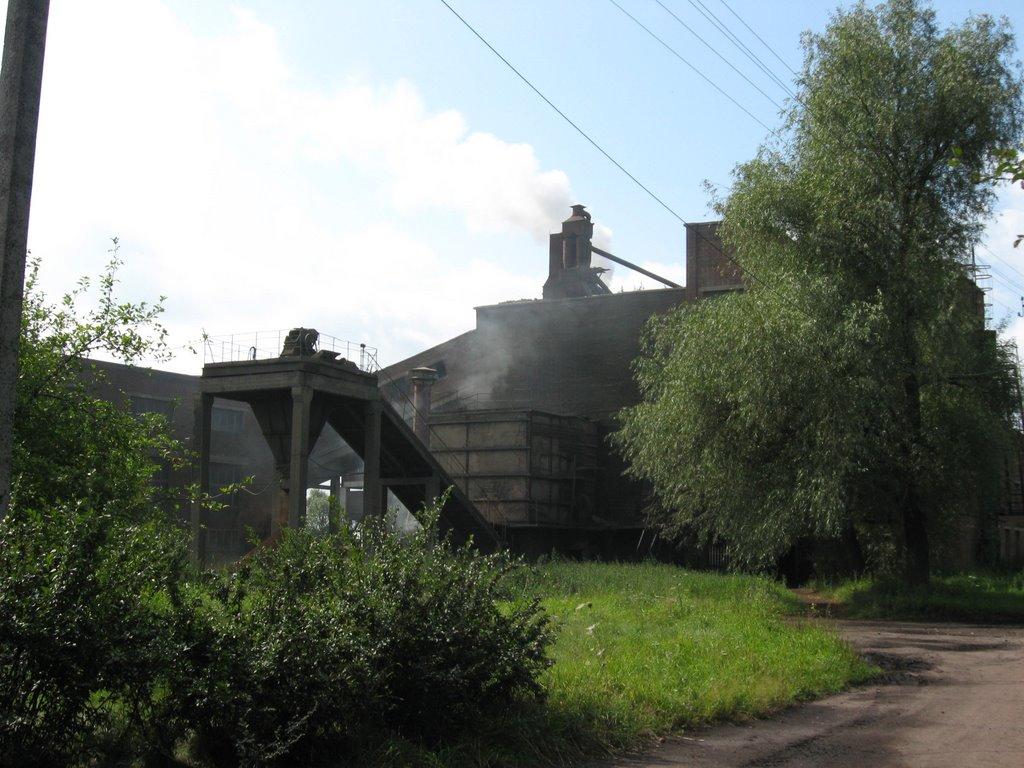 Смолин з panoramio.com - Смолин