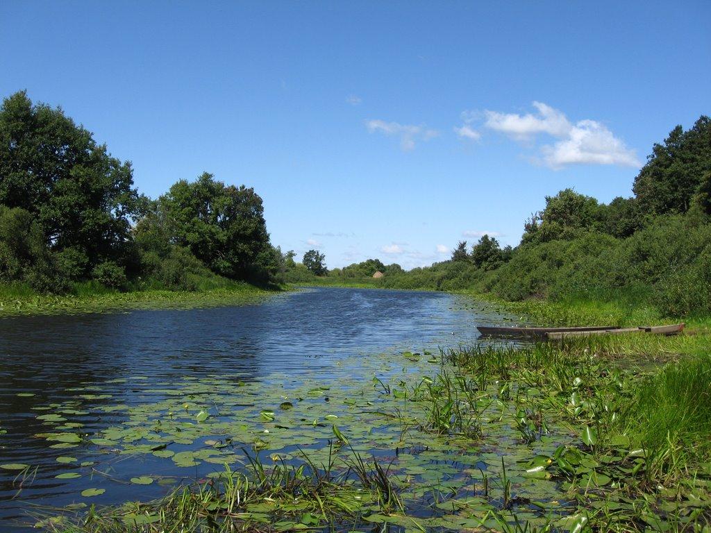 Очкине з panoramio.com - Очкине