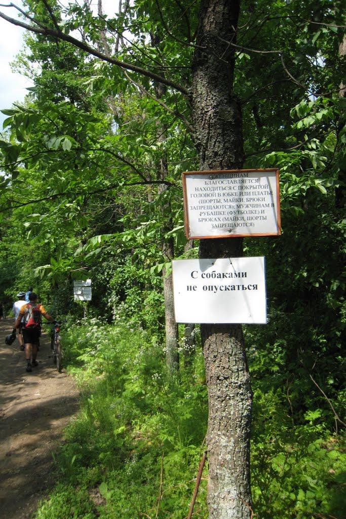 Вільне з panoramio.com - Вольное