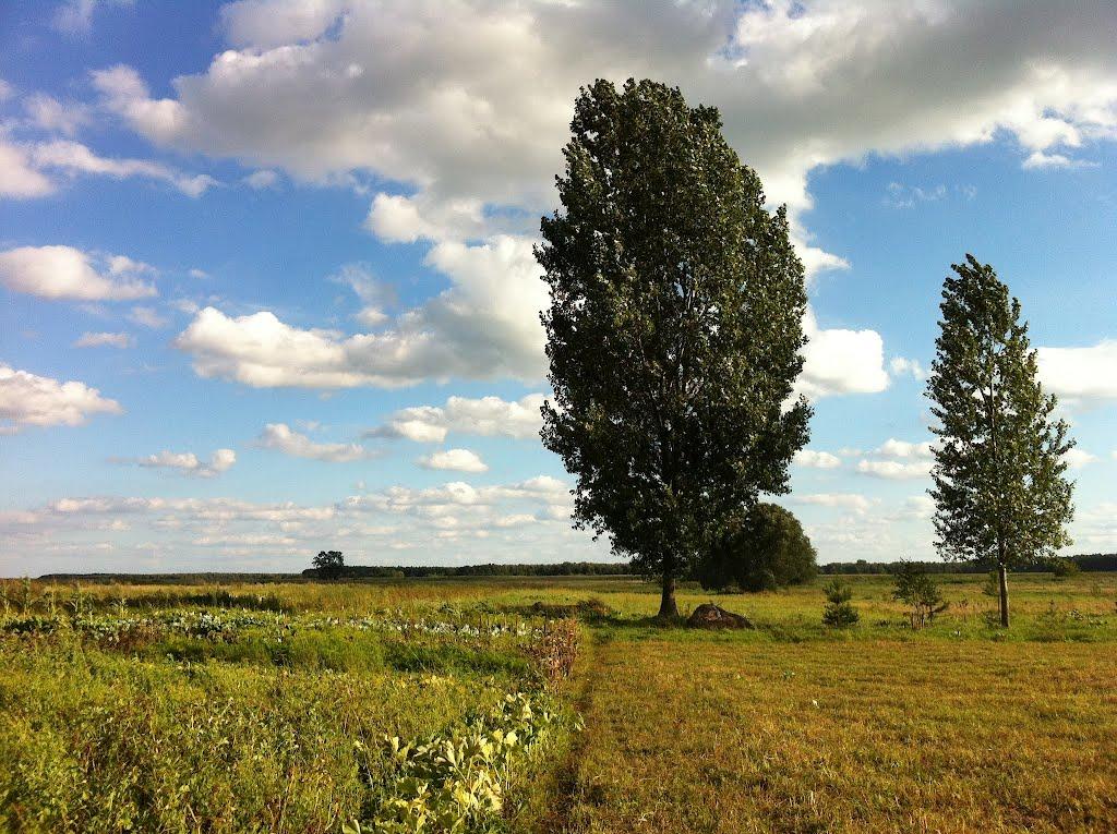 Хопнів з panoramio.com - Хопнов