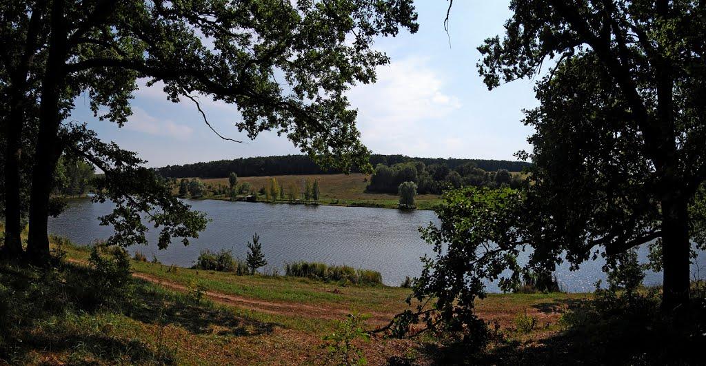 Велика Гомільша з panoramio.com - Велика Гомільша