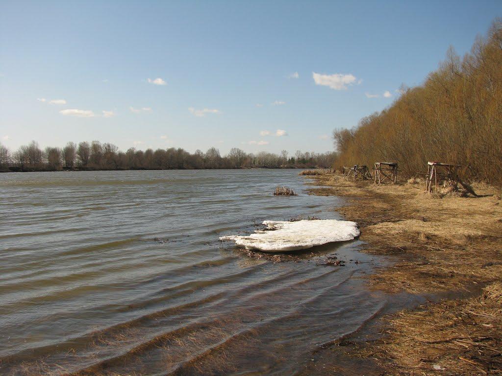 Хотянівка з panoramio.com - Хотяновка