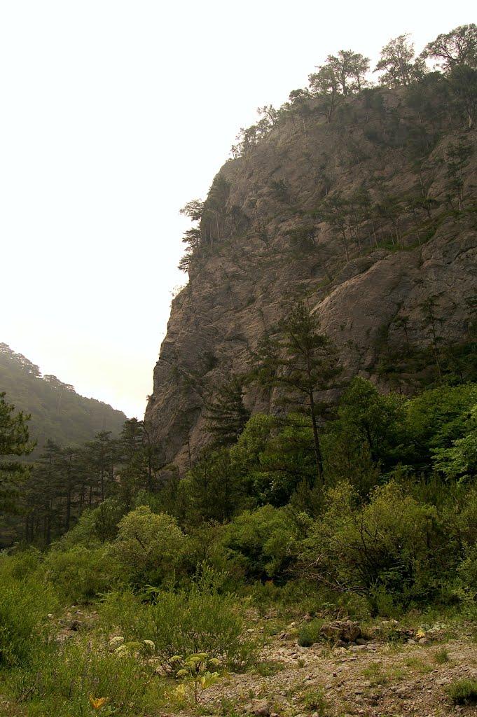 Совєтське з panoramio.com (ч.2) - Советское