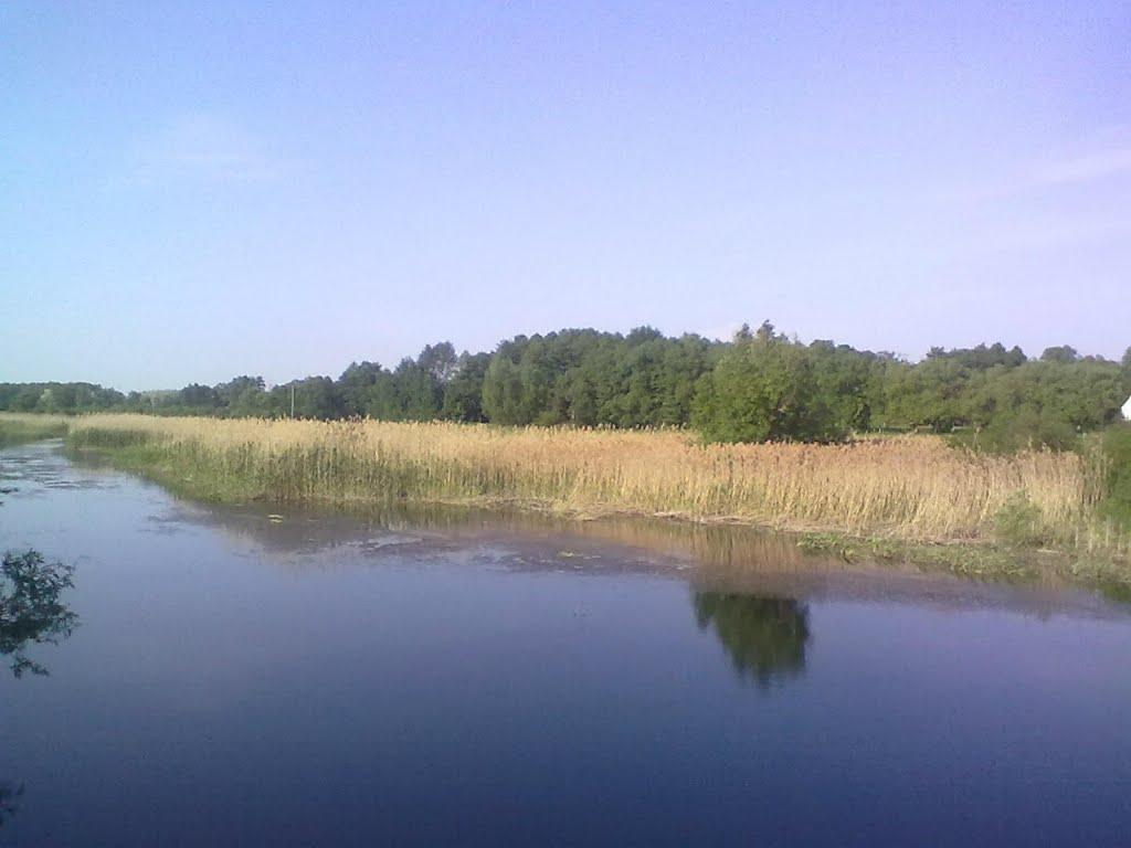 Шостакове з panoramio.com - Шостакове