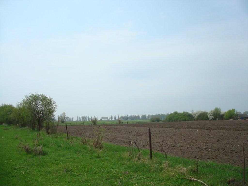 Дроздні з panoramio.com - Дроздни