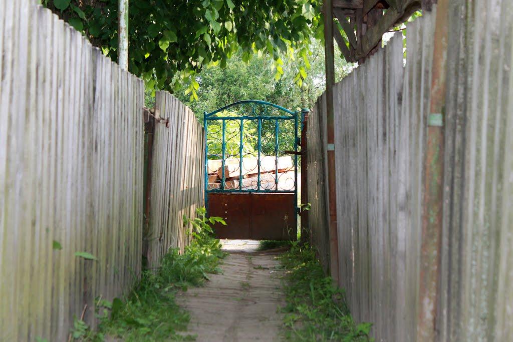 Куліші з panoramio.com - Куліші