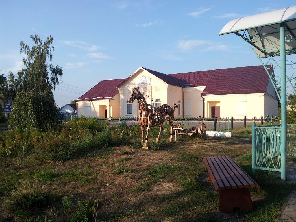 Вишеньки з panoramio.com - Вишенки