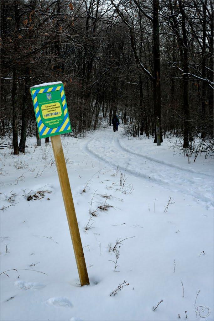 Опішня з panoramio.com - Opishnya
