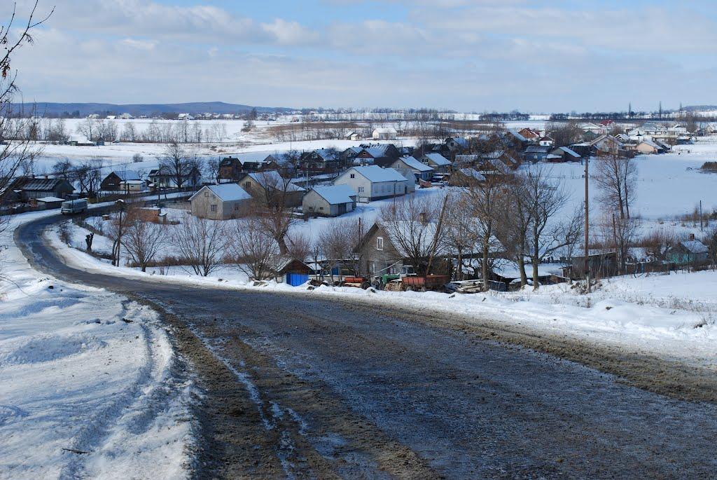 Тарашани з panoramio.com - Тарашани