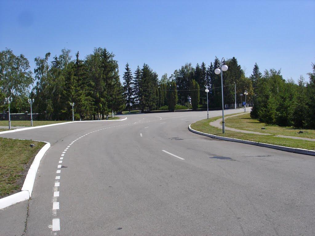 Вінницькі Стави з panoramio.com - Вінницькі Стави