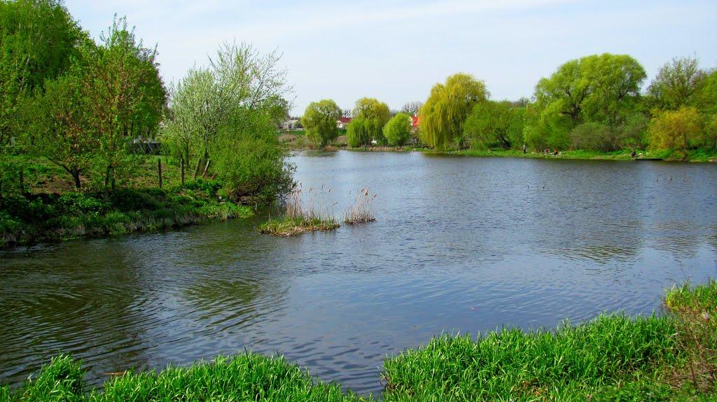 Городок з panoramio.com - Городок