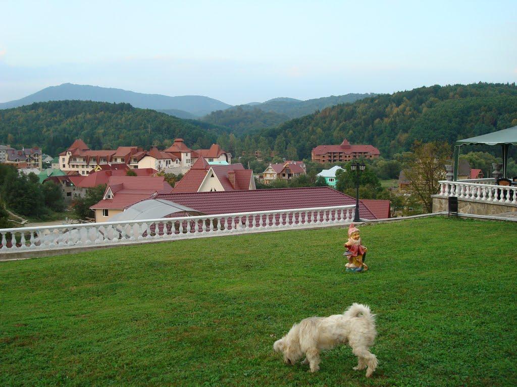 Поляна з panoramio.com - Поляна