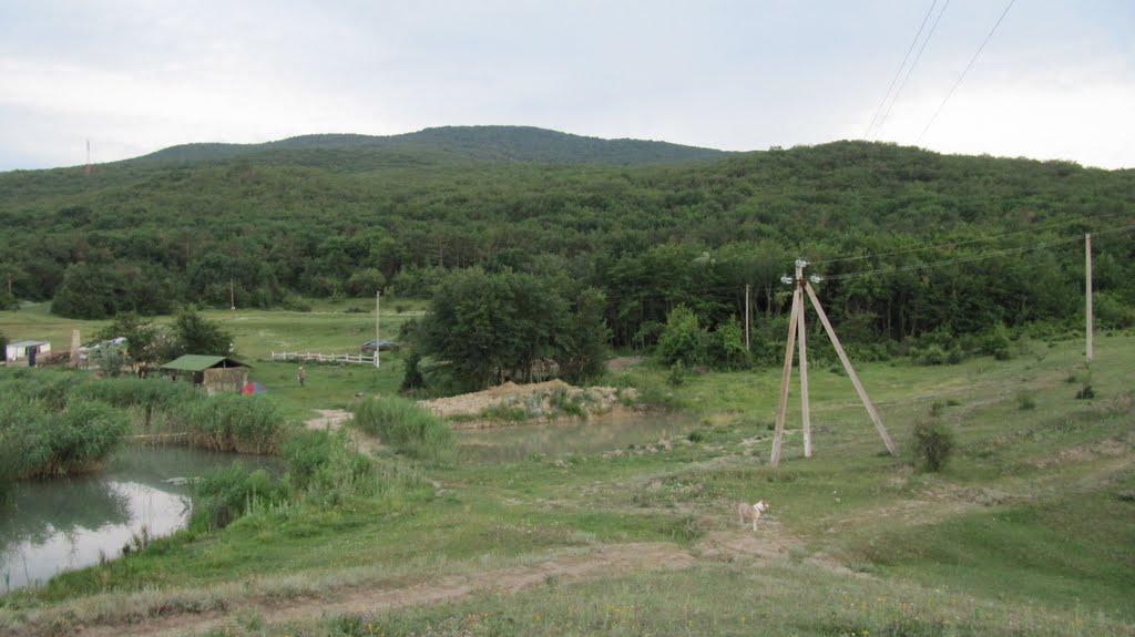 Учебне з panoramio.com - Учебное