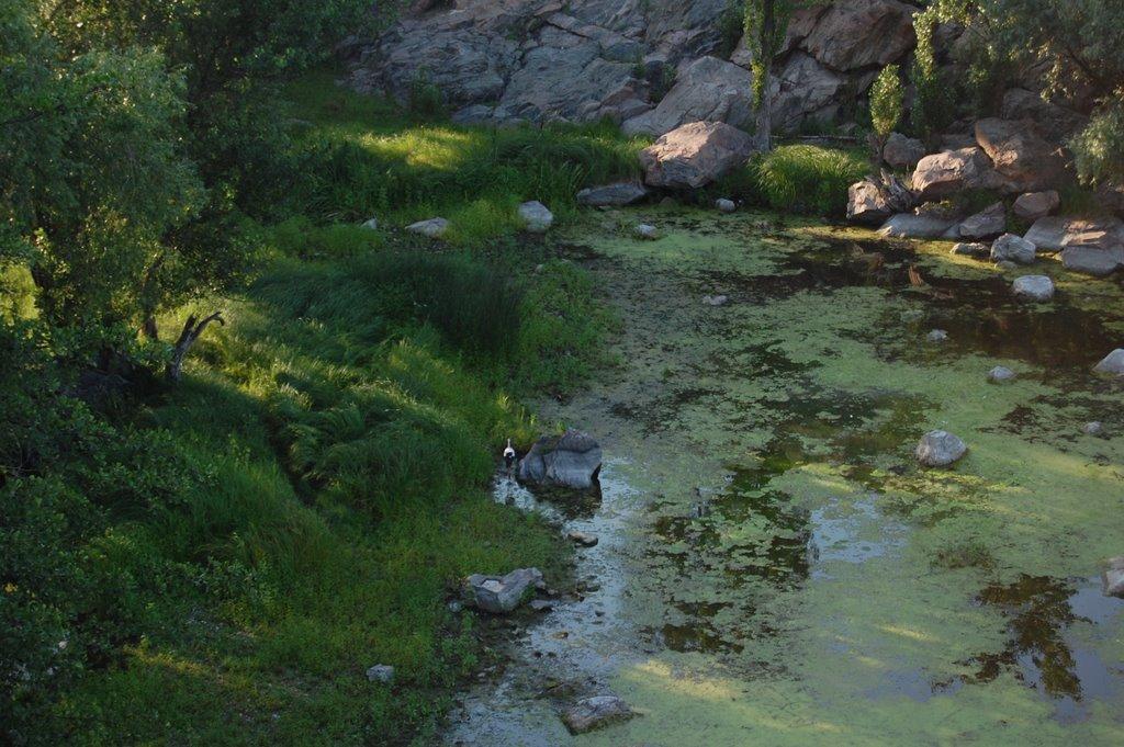 Стеблів з panoramio.com - Стеблів