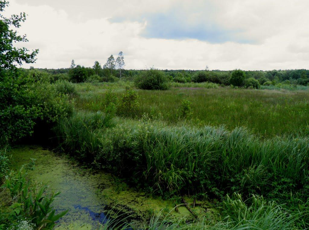 Маневичі з panoramio.com - Маневичи