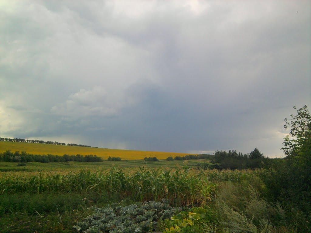 Березівка з panoramio.com - Березовка