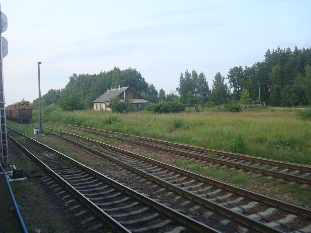 Першотравневе з panoramio.com - Першотравневе