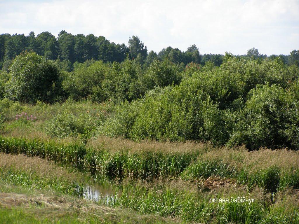 Тур з panoramio.com - Тур