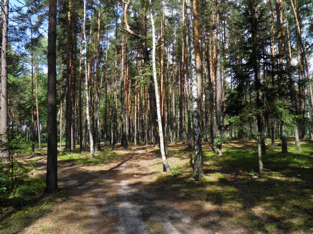 Маневичі з panoramio.com - Маневичи
