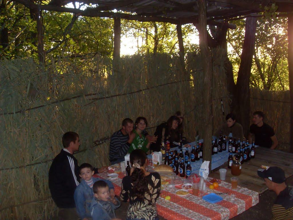 Вільне з panoramio.com - Вільне