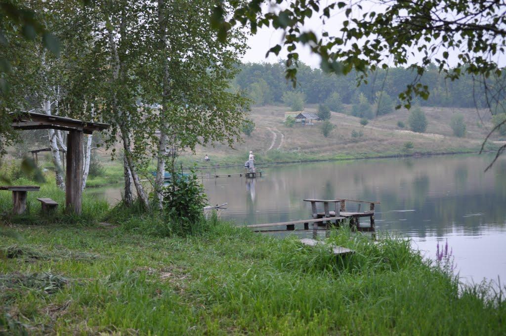 Велика Гомільша з panoramio.com - Велика Гомільша