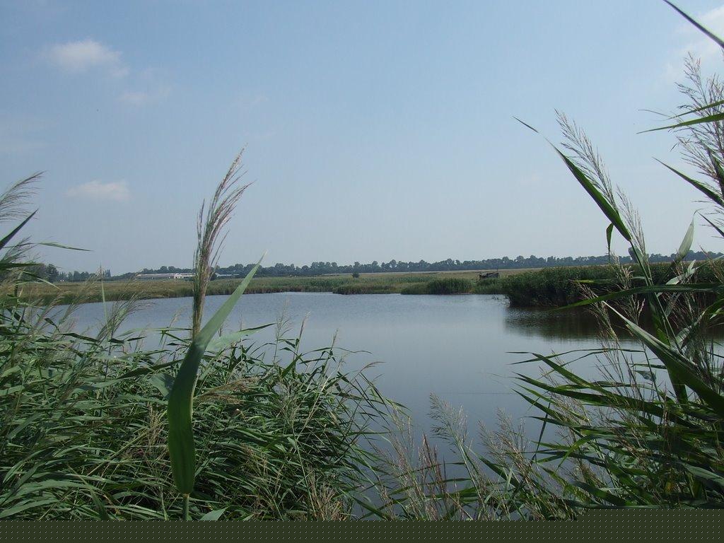 Свалява з panoramio.com - Свалява