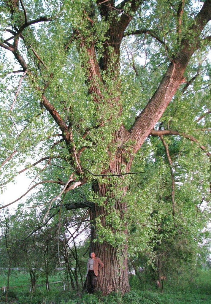 Ямне з panoramio.com - Ямне