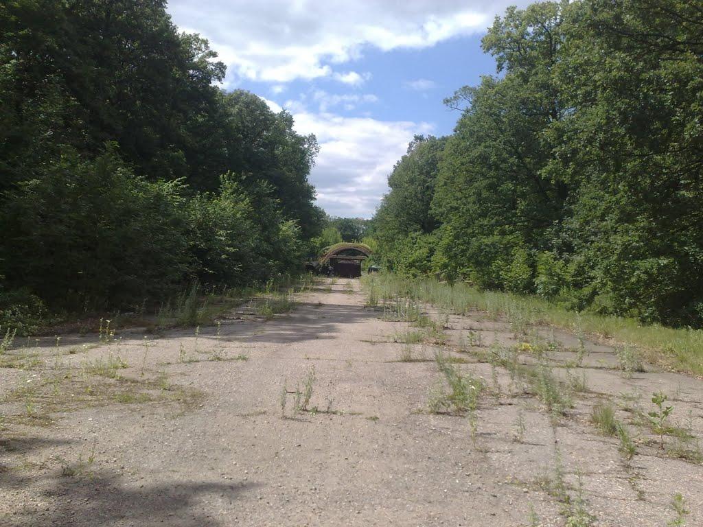 Введенка з panoramio.com - Введенка