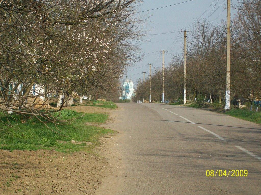 Токарівка з panoramio.com - Токарівка