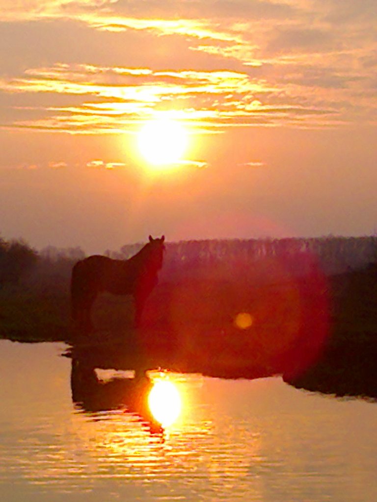 п.Красный прогресс  - Красний Прогрес