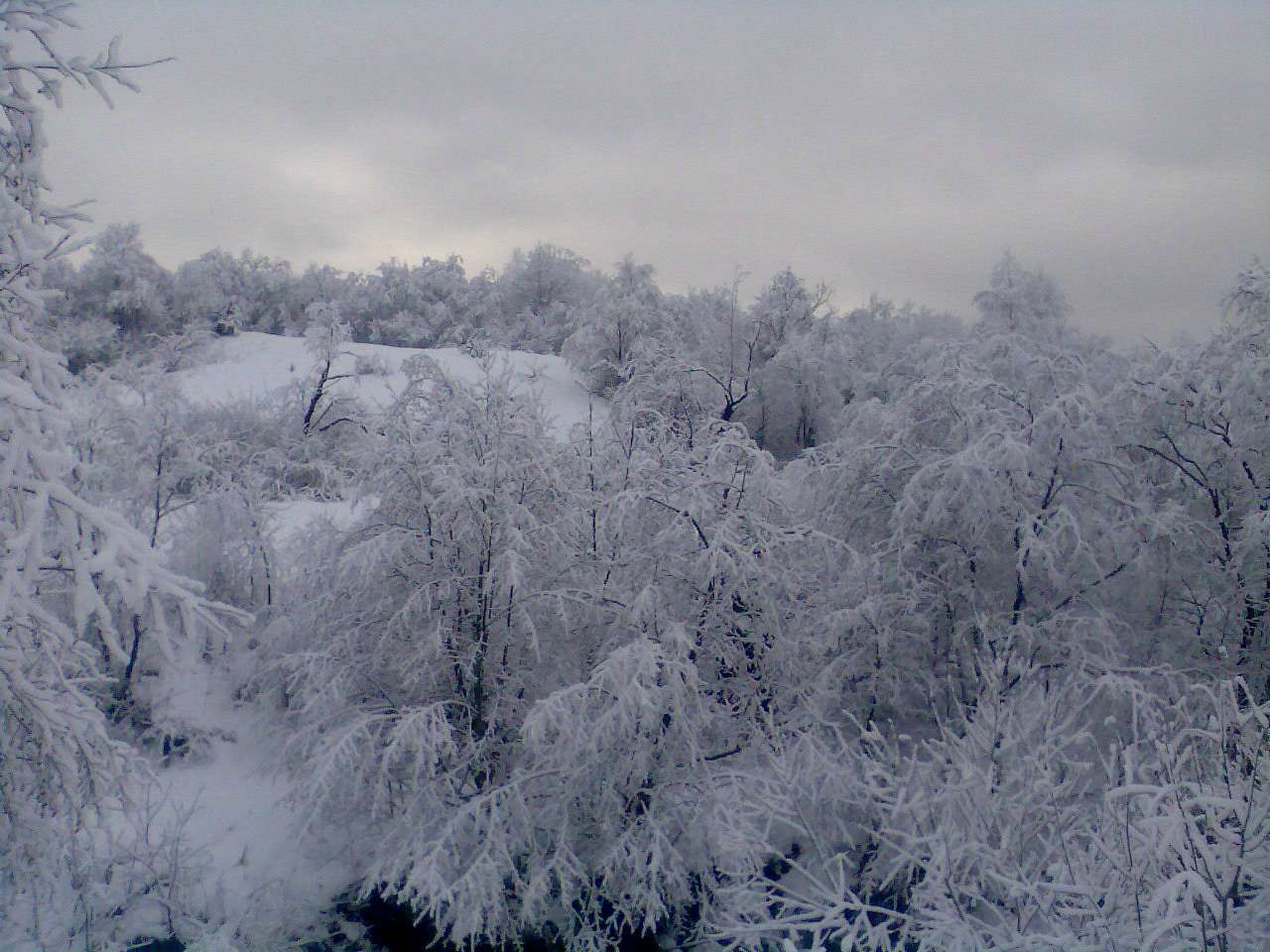 село Люта - Люта