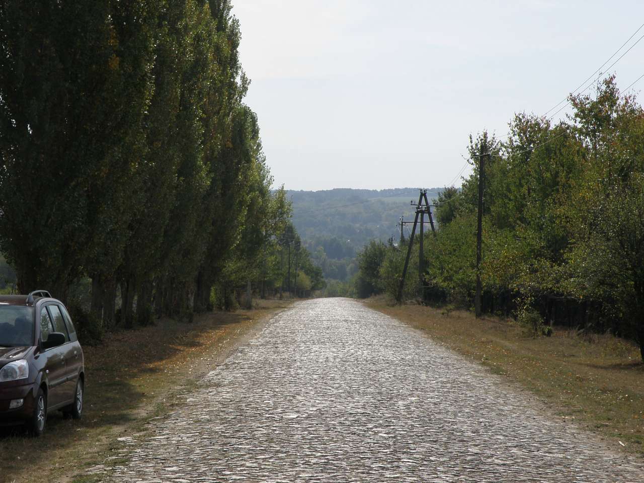 Тростянчик - Тростянчик