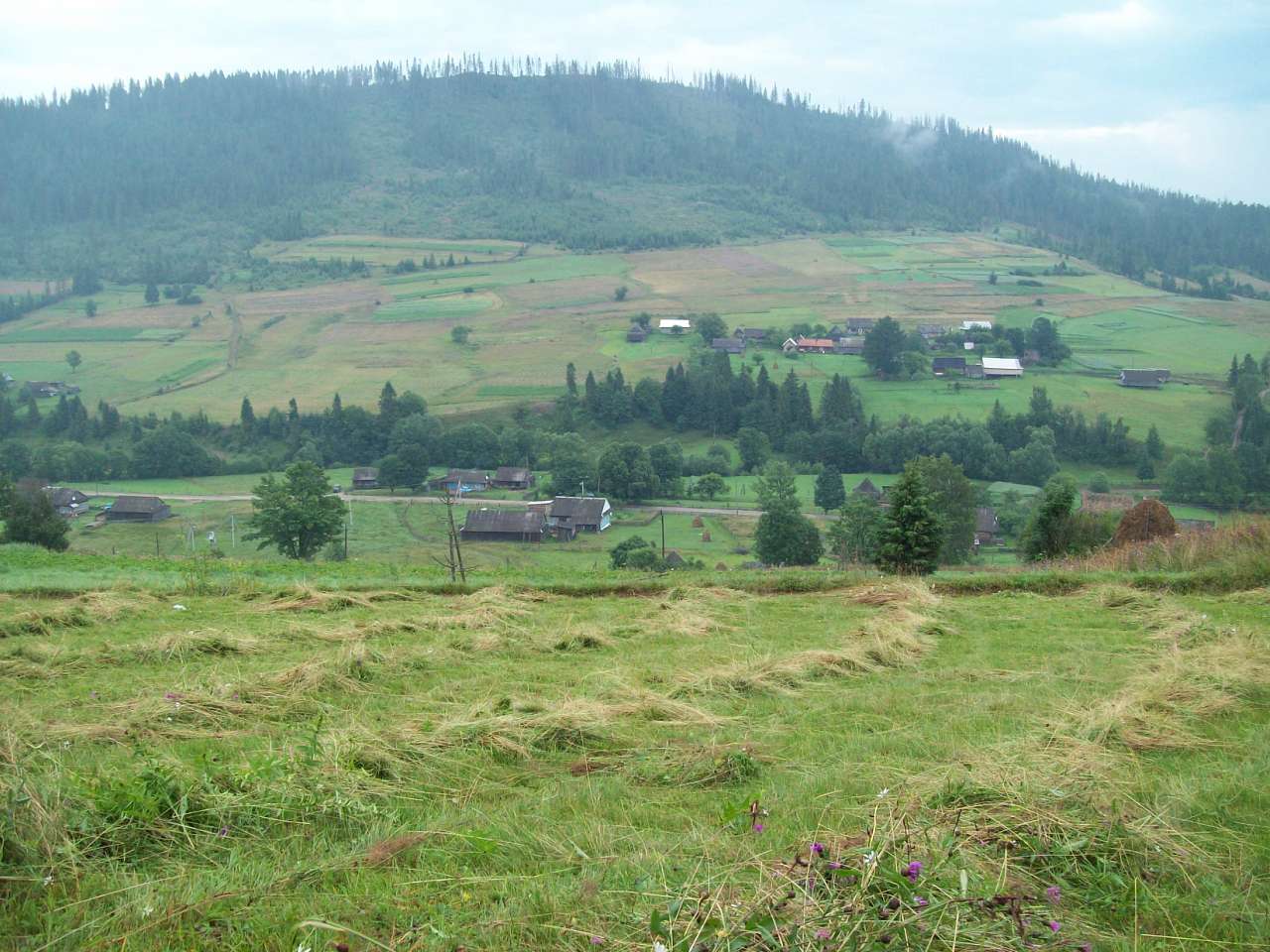 Карпатське - Карпатське