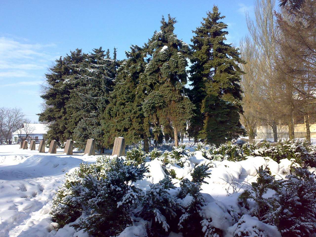 Осокорівка - Осокоровка