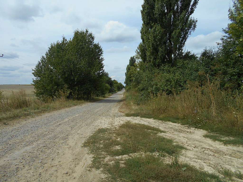 Соколинці та околиці - Sokolyntsi