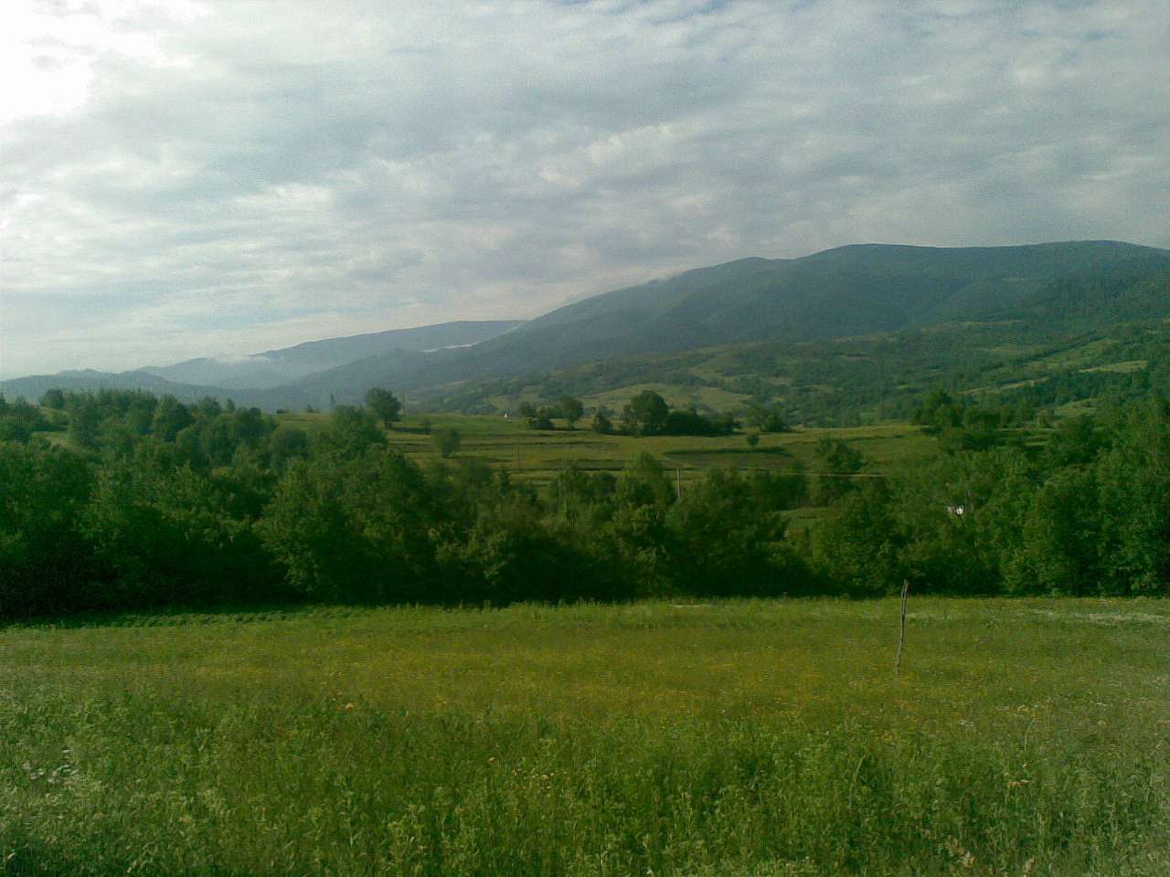 село Люта - Люта