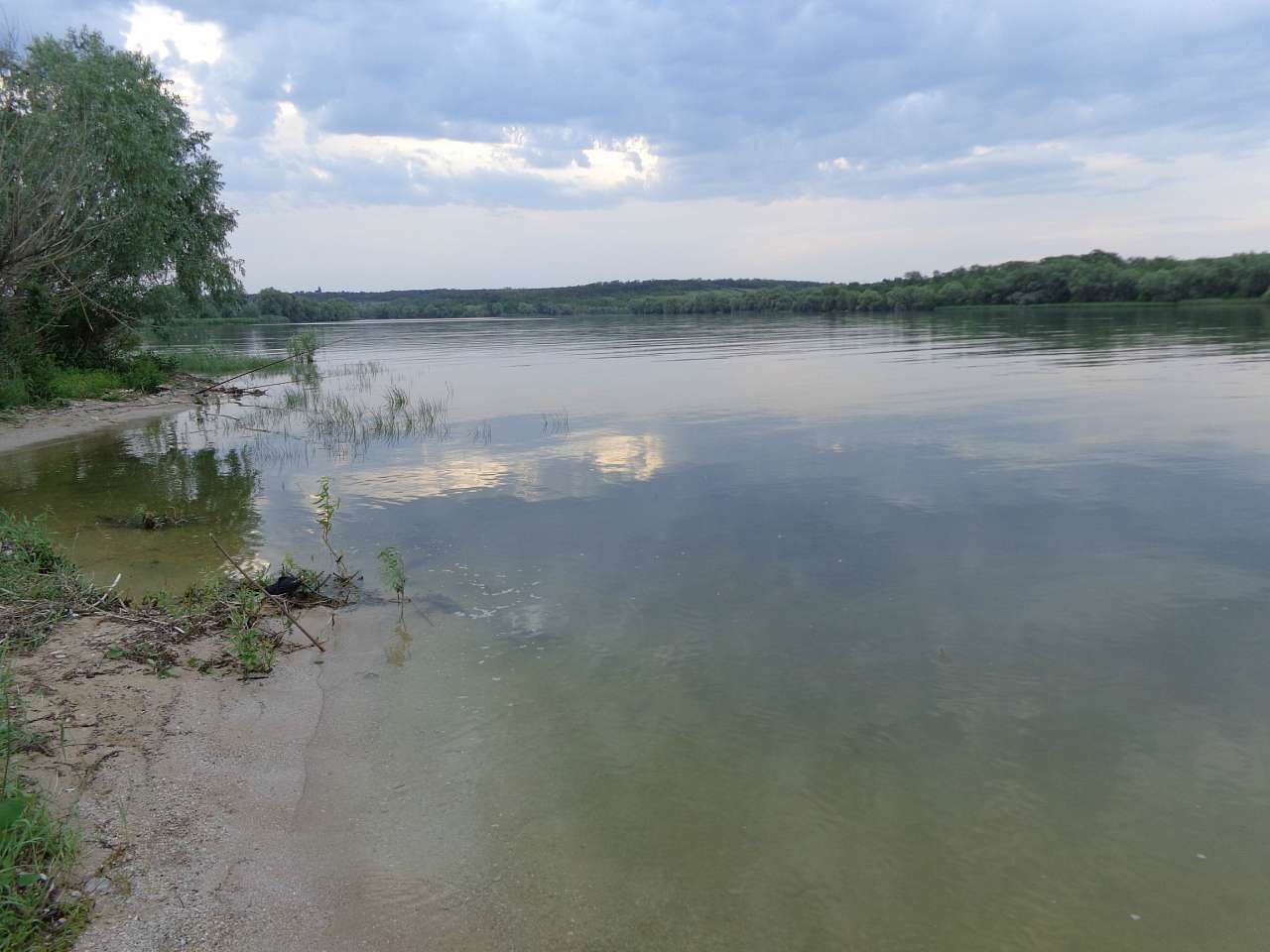 Річкові краєвиди - Осокорівка