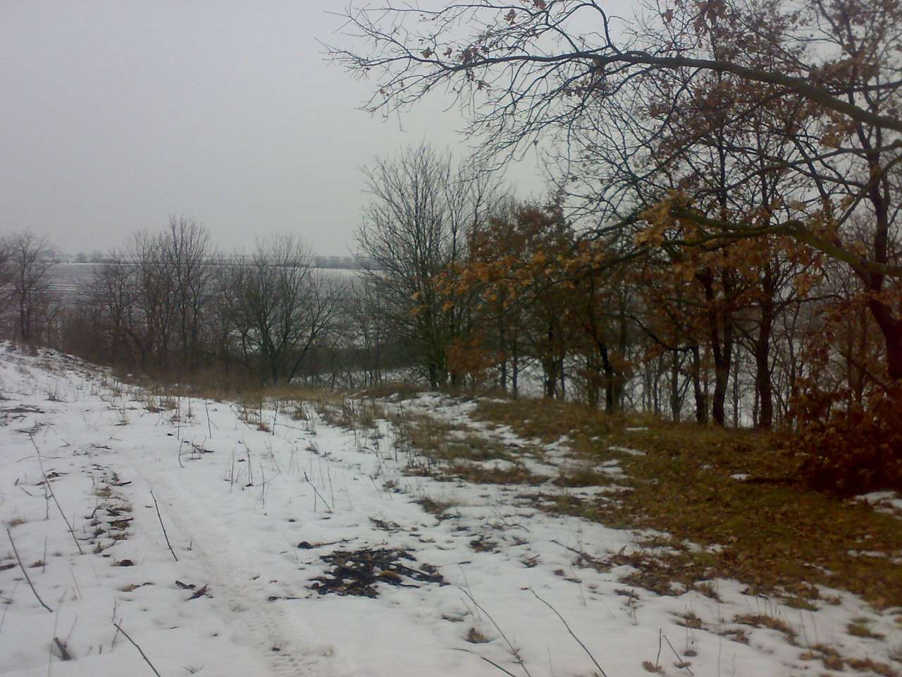 Ванчинець - Ванчинець