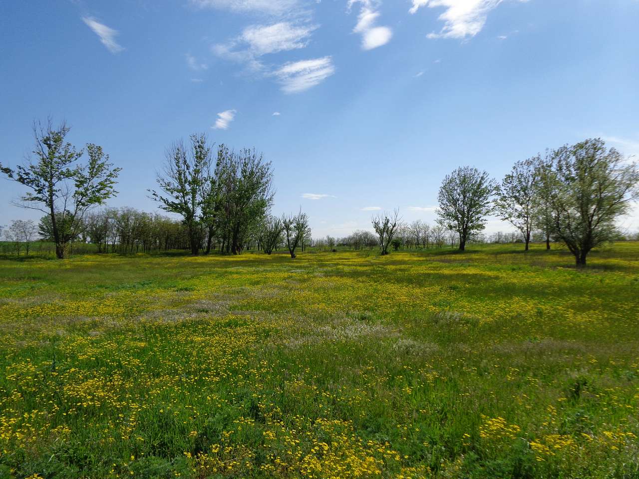 Червоне - Червоне