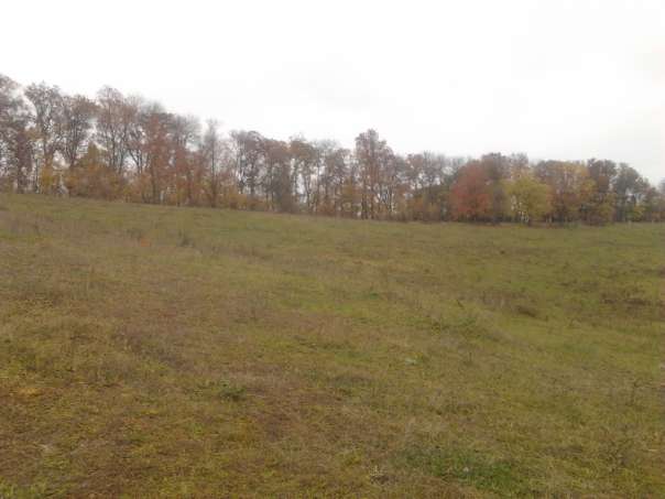 Природа - Вертокиевка