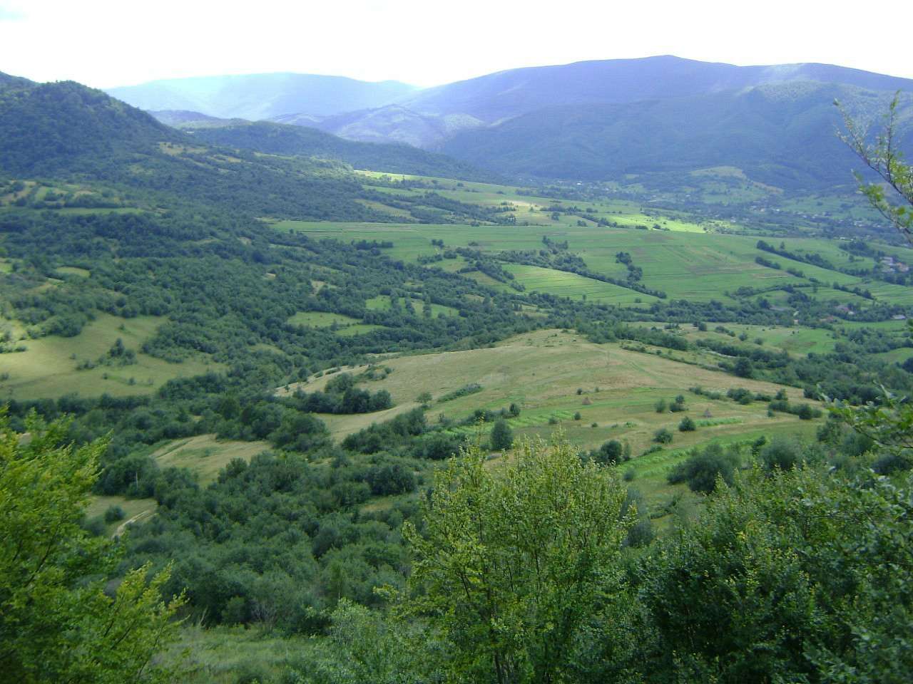 село Люта - Люта