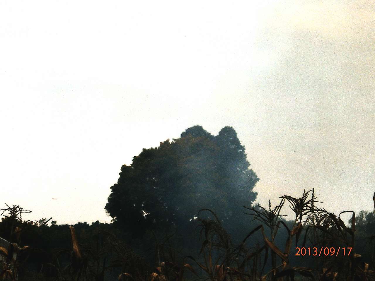 Іржавець - Иржавец